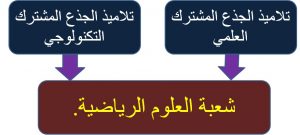 تلميذ سابق في شعبة العلوم الرياضية يحكي عن تجربته الخاصة